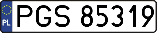 PGS85319