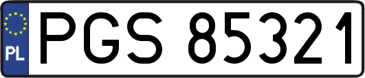 PGS85321