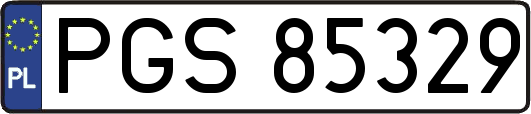 PGS85329