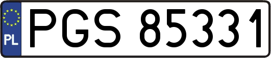 PGS85331