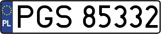 PGS85332