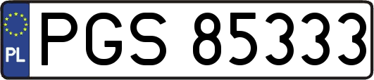 PGS85333