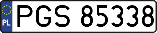 PGS85338