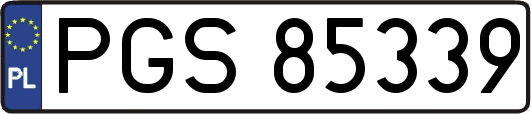 PGS85339