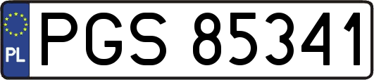 PGS85341