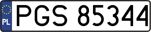 PGS85344