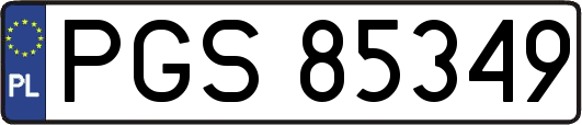 PGS85349