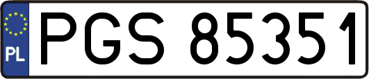 PGS85351