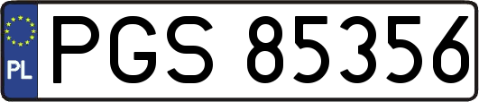 PGS85356
