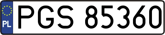 PGS85360