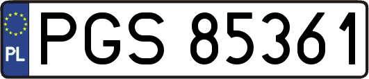 PGS85361