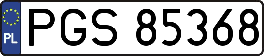 PGS85368