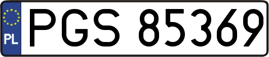 PGS85369