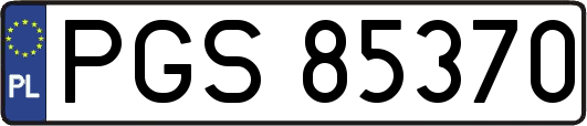 PGS85370