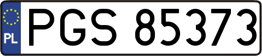 PGS85373
