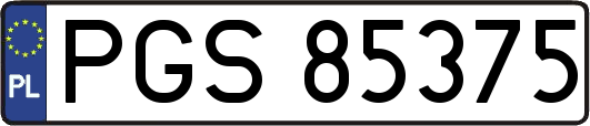 PGS85375