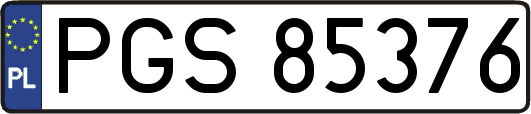 PGS85376