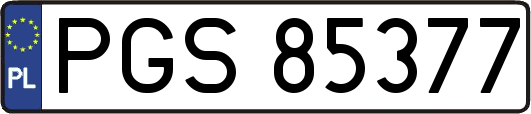 PGS85377