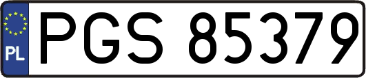 PGS85379