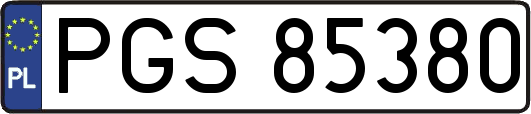 PGS85380