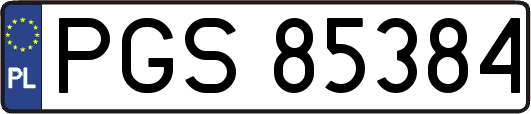 PGS85384