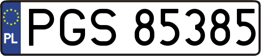 PGS85385