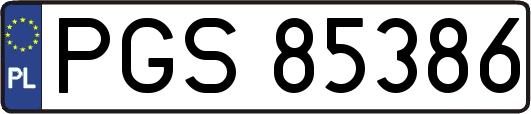 PGS85386