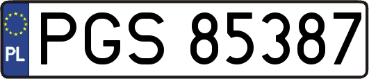 PGS85387