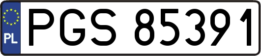PGS85391