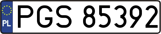 PGS85392