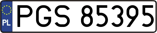 PGS85395