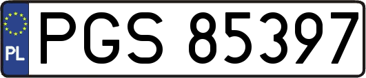 PGS85397