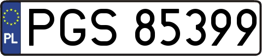 PGS85399