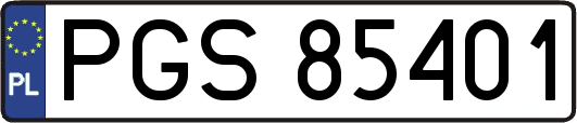 PGS85401