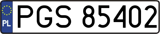 PGS85402