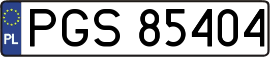PGS85404