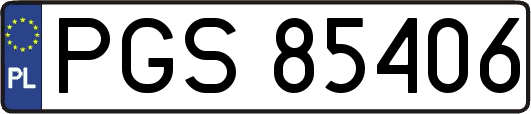 PGS85406