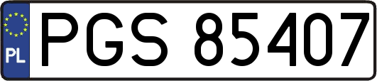 PGS85407