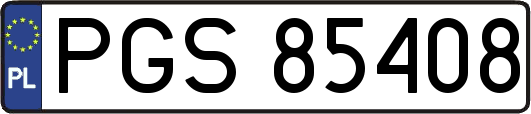 PGS85408