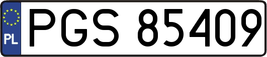 PGS85409