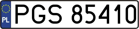PGS85410