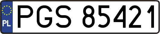 PGS85421
