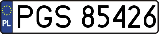 PGS85426