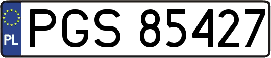 PGS85427
