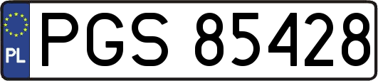 PGS85428