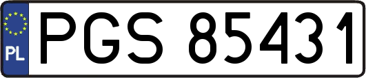 PGS85431