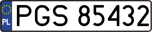 PGS85432