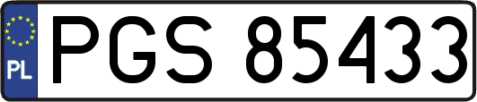 PGS85433
