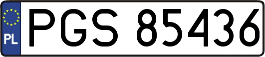 PGS85436