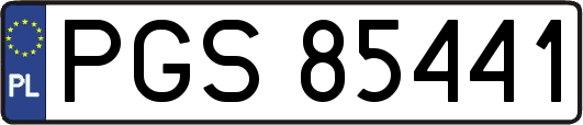 PGS85441